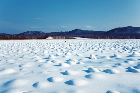 三江平原-雪-故乡-光影-风光 图片素材