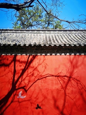 风光-城市天际线-纹理-色彩-我要上封面 图片素材