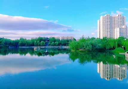 泰安市-手机摄影-桥-风光-湖 图片素材