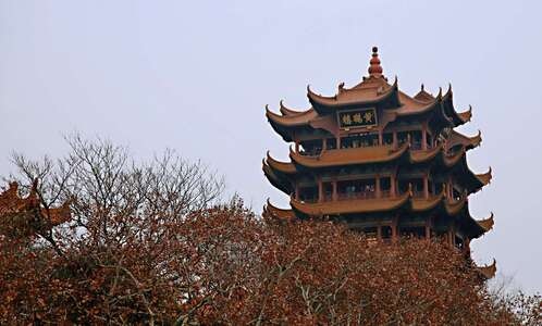 有趣的瞬间-生态-武汉加油-看你的城市-旅行 图片素材