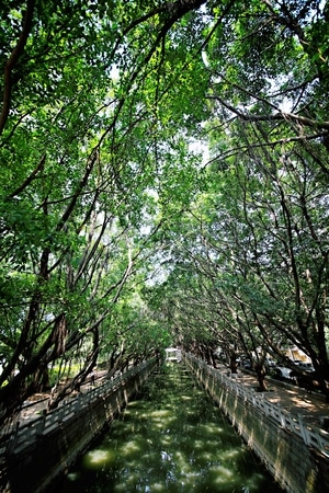 网红打卡-福州市-人文-看你的城市-风景 图片素材