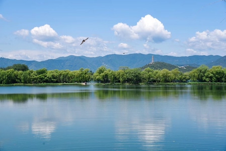 景色-宅家-安逸-文艺-蓝色 图片素材