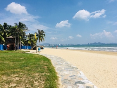 自然-海南-椰子-城市风景-文化旅行 图片素材