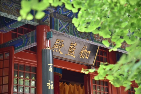 文化旅游-文化-安逸-有趣的瞬间-景色 图片素材