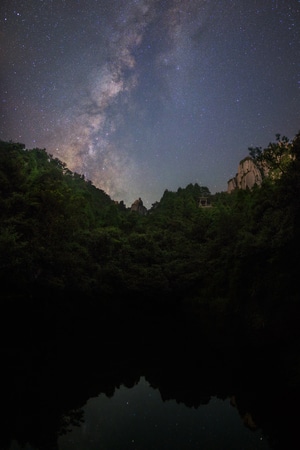 银河-星空-植物-树-户外 图片素材