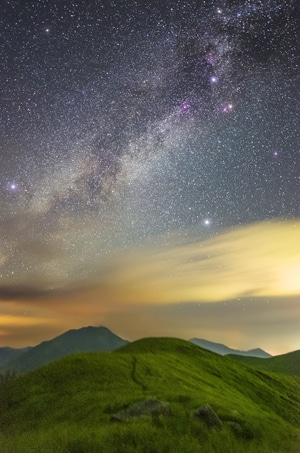 我的2019-草场-夜景-绿色-晴天 图片素材