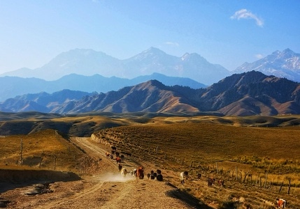 塔城地区-手机拍摄-风景-在路上-山 图片素材