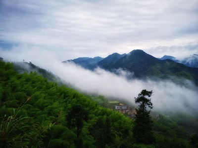 丽水市-手机拍摄-风景-风景-风光 图片素材