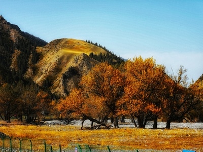 阿克苏地区-手机拍摄-在路上-自驾-风景 图片素材