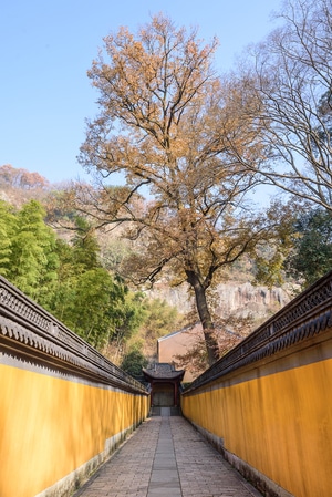 风景-风光-旅行-旅游-新昌 图片素材