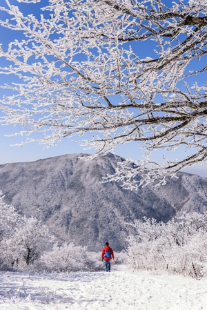 风景-风光-旅行-旅游-户外 图片素材