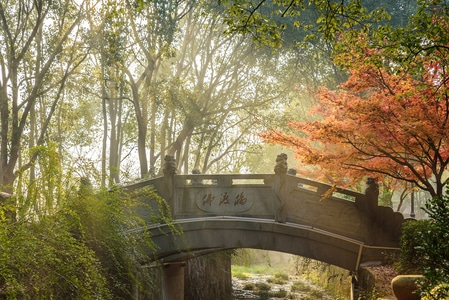 新昌-大佛寺-风景-风光-旅行 图片素材