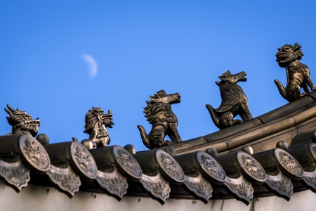 风光-宾得-黄色-旅行-旅游 图片素材