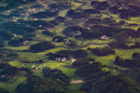 田园-山水画-风光-旅行-竹海 图片素材