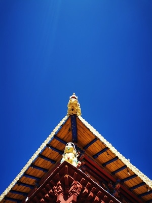 拉萨市-旅行-寺庙-建筑-雕塑 图片素材