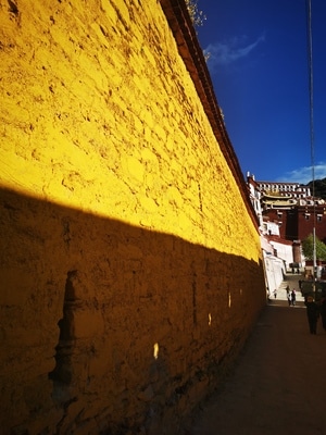 拉萨市-旅行-寺庙-建筑-建筑 图片素材