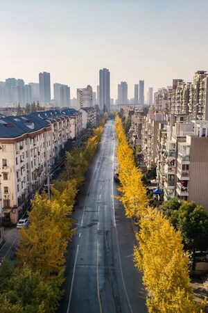 街拍-ins-上海-魔都-光 图片素材