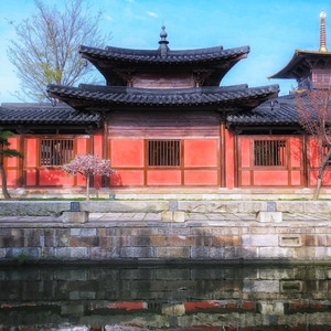 2020-上海-魔都-广富林-建筑 图片素材