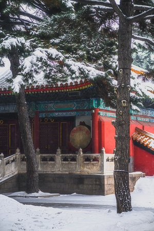 哈尔滨-文庙-雪-建筑-风光 图片素材