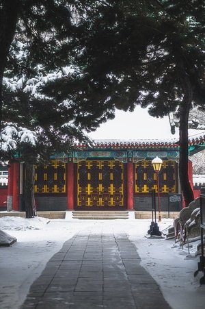 哈尔滨-文庙-雪-建筑-风光 图片素材