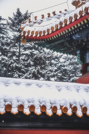 哈尔滨-文庙-雪-建筑-风光 图片素材