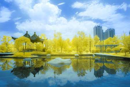 自然-风光-红外-你好秋天-自然 图片素材