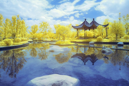 自然-风光-红外-你好秋天-自然 图片素材