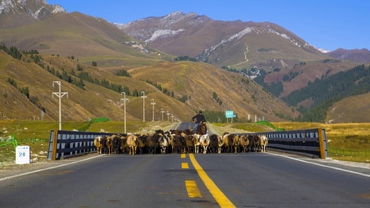 风景-草原-旅行-公路-风景 图片素材