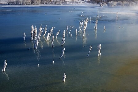 大自然-风光-水生植物-水草-雪景 图片素材