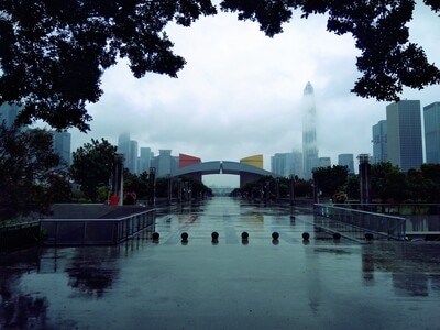 建筑-城市-植物-雨季-城市 图片素材