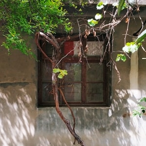 旅行-手机摄影-工厂-房屋-厂房 图片素材