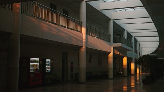 学校-建筑-室内-护栏-盆栽 图片素材