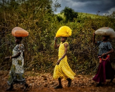 坦桑尼亚-妇女-街拍-风俗-牛肝菌 图片素材
