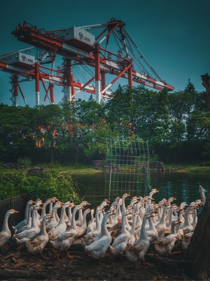 城市的色彩-废墟-我的六月-城市-在路上 图片素材