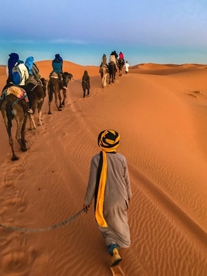 玫瑰沙漠-撒哈拉-旅拍-摩洛哥-沙漠 图片素材