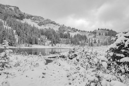 我的2019-风光-瑞尼尔雪山-西雅图-美国 图片素材