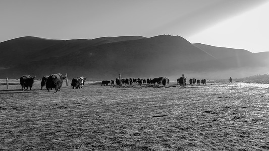 你好2020-风光-黑白-巴塘-甘孜藏族自治州 图片素材