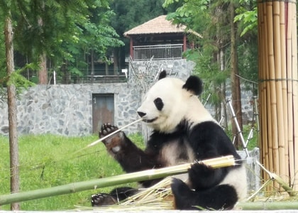 旅游-雅安-宝兴-蜂俑寨-华为手机 图片素材