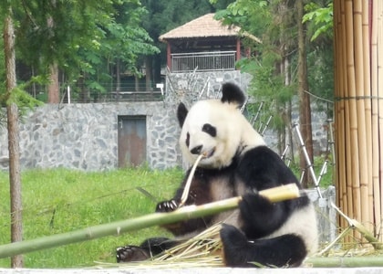 旅游-雅安-宝兴-蜂俑寨-华为手机 图片素材