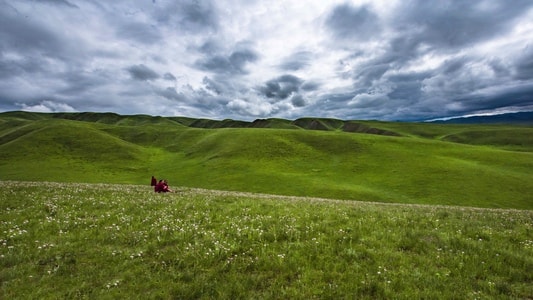 风光-甘南藏族自治州-甘加草原-喇嘛-赏花 图片素材