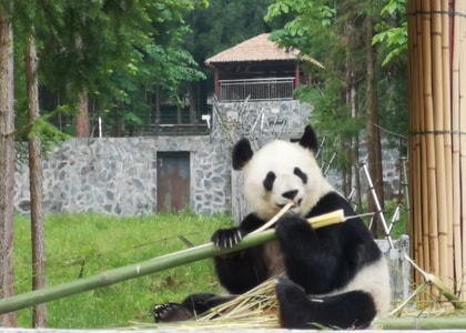 旅游-雅安-宝兴-蜂俑寨-华为手机 图片素材