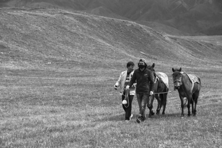 甘南-牧民运动会-赛马场-随拍-旅行 图片素材