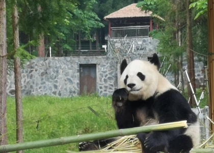 旅游-雅安-宝兴-蜂俑寨-华为手机 图片素材