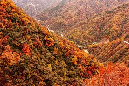 四川-巴中-光雾山-秋色-自然风光 图片素材