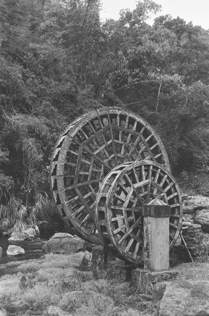 rollei35-胶片摄影-禄莱35-黑白摄影-黑白风光摄影 图片素材