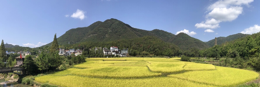 丰收-快拍在路上-随拍-风景-风光 图片素材