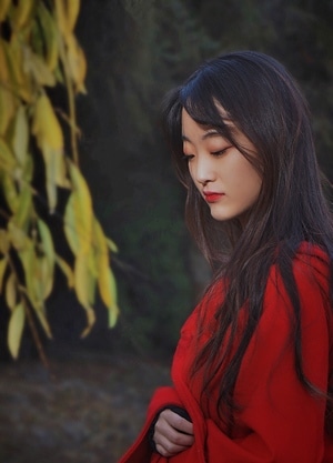 一镜知秋-武汉大学-故事-女孩-深秋 图片素材