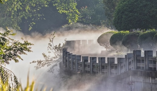 桂湖公园-雾景-雾景-桂湖公园-风景 图片素材