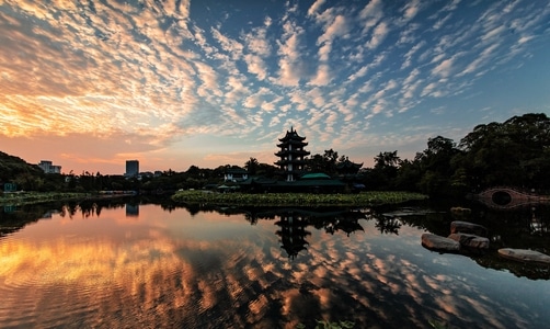 朝霞-桂湖-风景-风光-湖 图片素材
