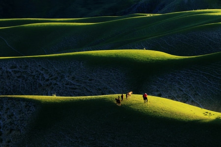 新疆-风光-喀拉峻草原-光影-色彩 图片素材